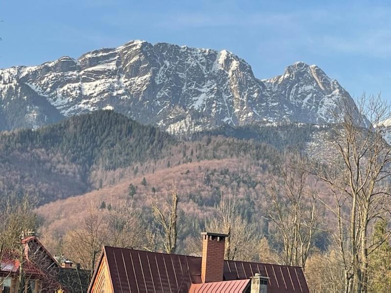 Modrzejewska Residence Zakopane Luaran gambar